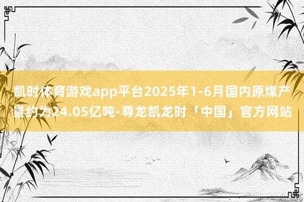 凯时体育游戏app平台2025年1-6月国内原煤产量约为24