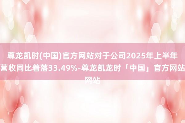 尊龙凯时(中国)官方网站对于公司2025年上半年营收同比着落33.49%-尊龙凯龙时「中国」官方网站