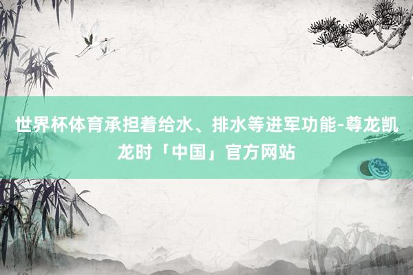 世界杯体育承担着给水、排水等进军功能-尊龙凯龙时「中国」官方网站
