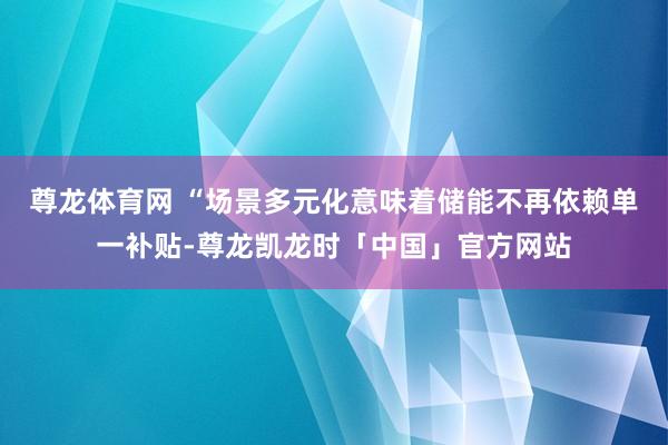 尊龙体育网 “场景多元化意味着储能不再依赖单一补贴-尊龙凯龙