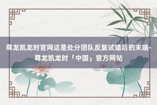 尊龙凯龙时官网这是处分团队反复试错后的末端-尊龙凯龙时「中国