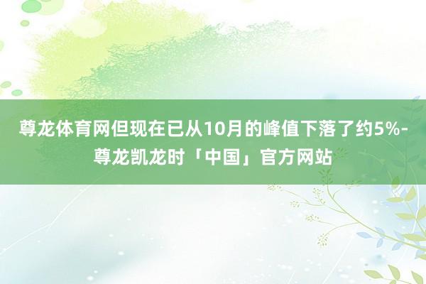 尊龙体育网但现在已从10月的峰值下落了约5%-尊龙凯龙时「中